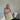 Musselin Rock Bae